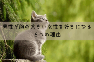 男性は分かりやすい！男性が胸の大きい女性を好きになる６つの理由